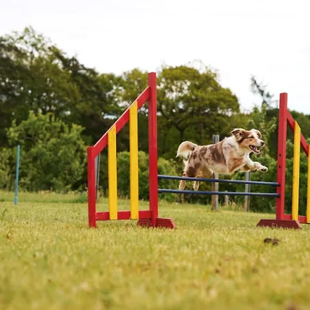Hof Koehne - Kastanienhaus 別荘 *