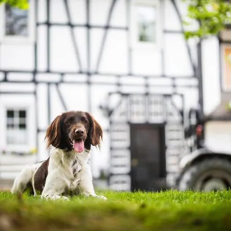 Hof Koehne - Kastanienhaus Vakantiehuis