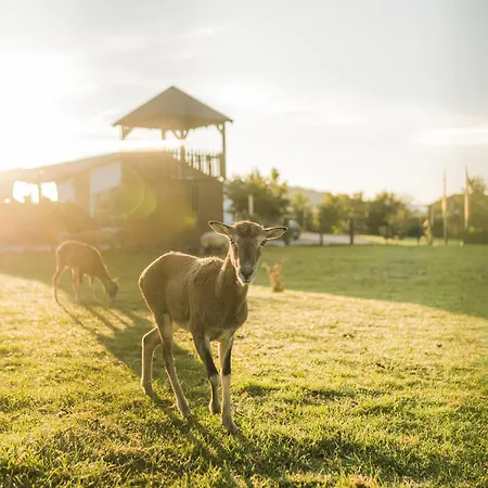 Hof Koehne - Kastanienhaus Schmallenberg