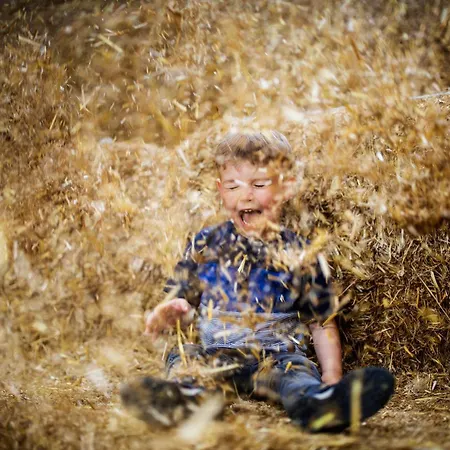 別荘 Hof Koehne - Kastanienhaus