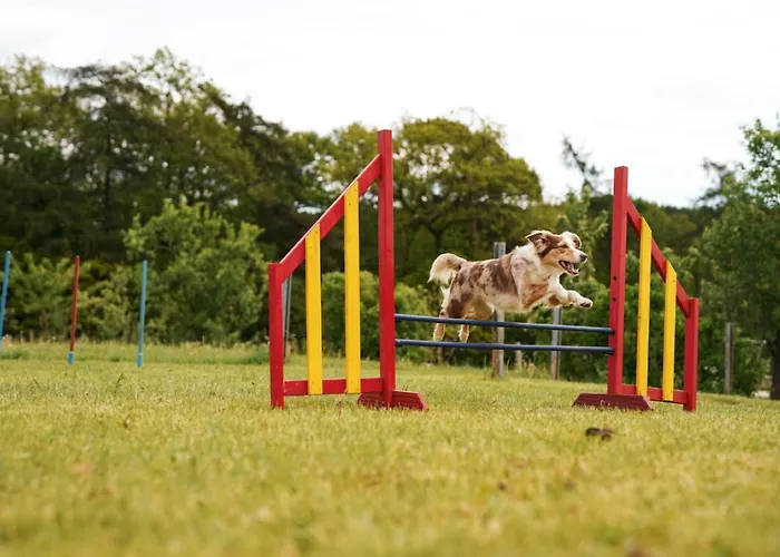Hof Koehne - Kastanienhaus Σπίτι διακοπών *
