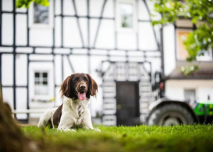 Hof Koehne - Kastanienhaus Σπίτι διακοπών
