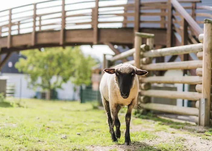 Hof Koehne - Kastanienhaus Σπίτι διακοπών *