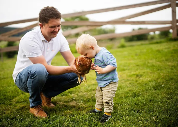 Hof Koehne - Kastanienhaus Σπίτι διακοπών Schmallenberg